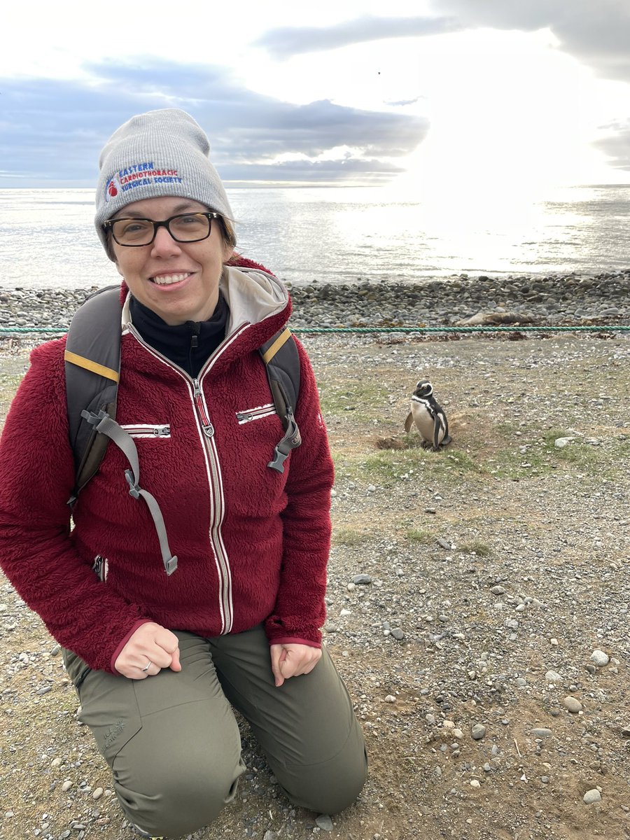 Sharon Ben-Or tweet media