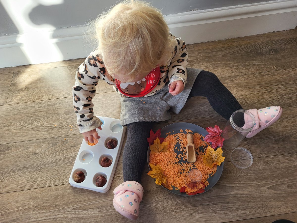 MrsKavanagh79's tweet photo. Lots of autumnal play today 🍂 https://t.co/koV1RLzGCA