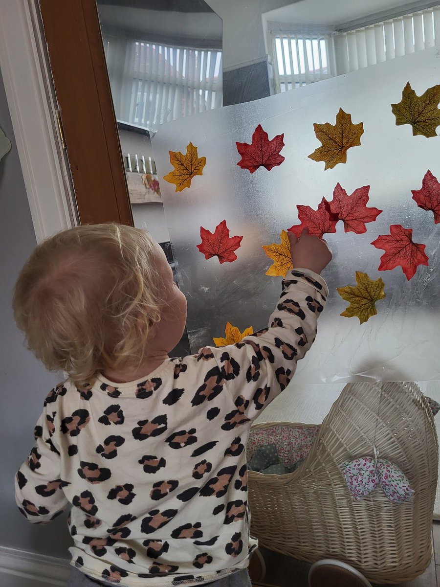 MrsKavanagh79's tweet photo. Lots of autumnal play today 🍂 https://t.co/koV1RLzGCA