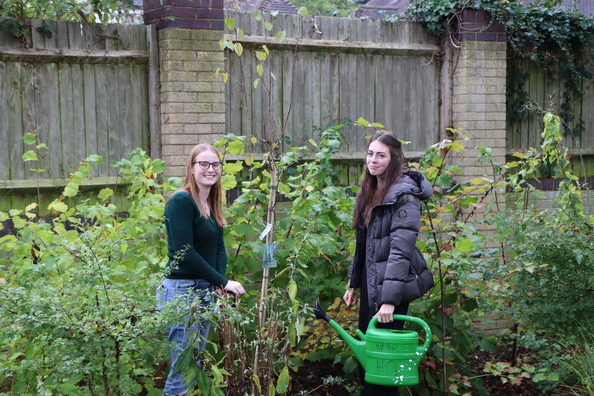 Our non-uniform day is raising money for <a href="/JUST_ONE_Tree/">JUST ONE Tree</a>, an initiative which intends to plant a tree for every £1 raised to encourage biodiversity on the planet 🌎 Our students were keen to get involved and planted their own tree! #GoBeyond #GDSTGirls