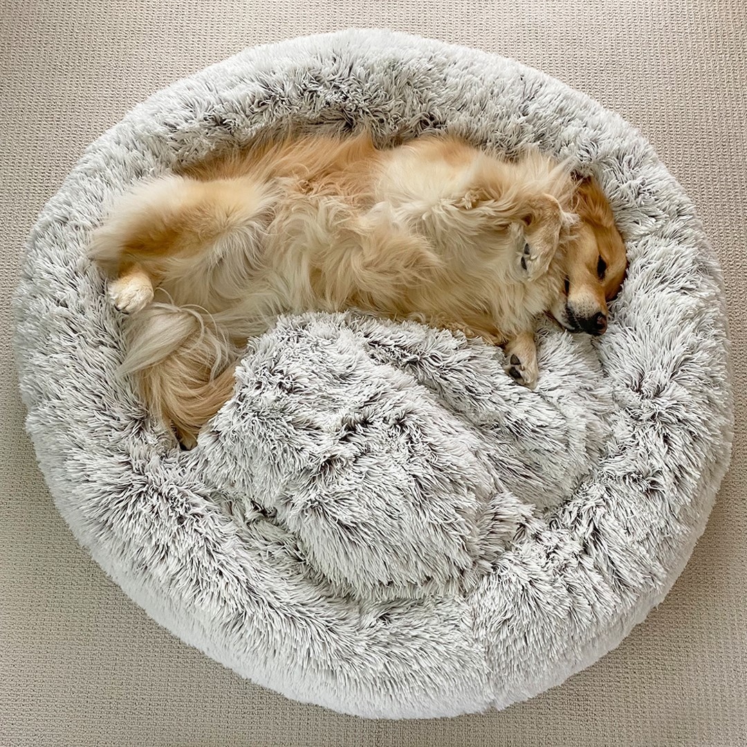 jaxandbones's tweet photo. That looks very, very, very, VERY comfortable... @golden_huck_fin

#jaxandbones #dognap #sleepypuppy #goldensofinstagram #goldenretriever #goldens #goldenretrieverlovers #naptime #sleepingdog #dogstagram https://t.co/5JBL5iGWjZ