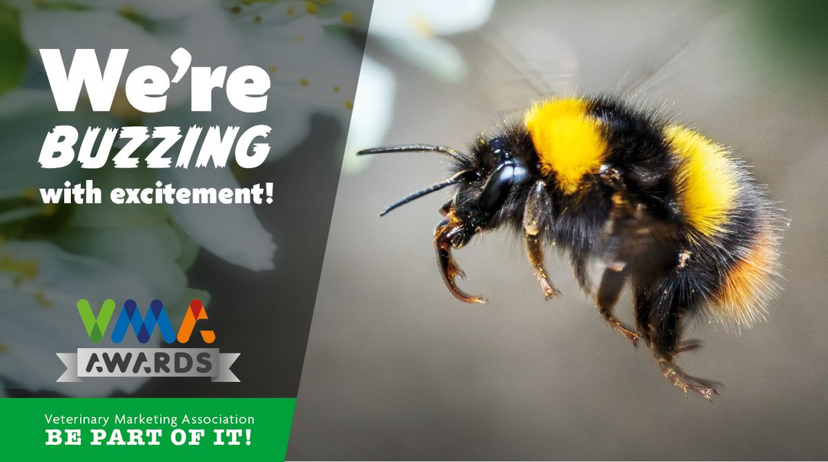 VetMarkAssoc's tweet photo. Not long to wait before we're open for entries...! #VeterinaryMarketingAwards #BeePartOfIt https://t.co/kIFiOzeJUR