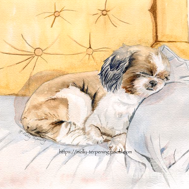 New artwork for sale! -'Take A Nap'- fineartamerica.com/featured/take-… @FineArtAmerica #watercolor #watercolorpainting #dogpotrait #nurseryart #holidaygifts