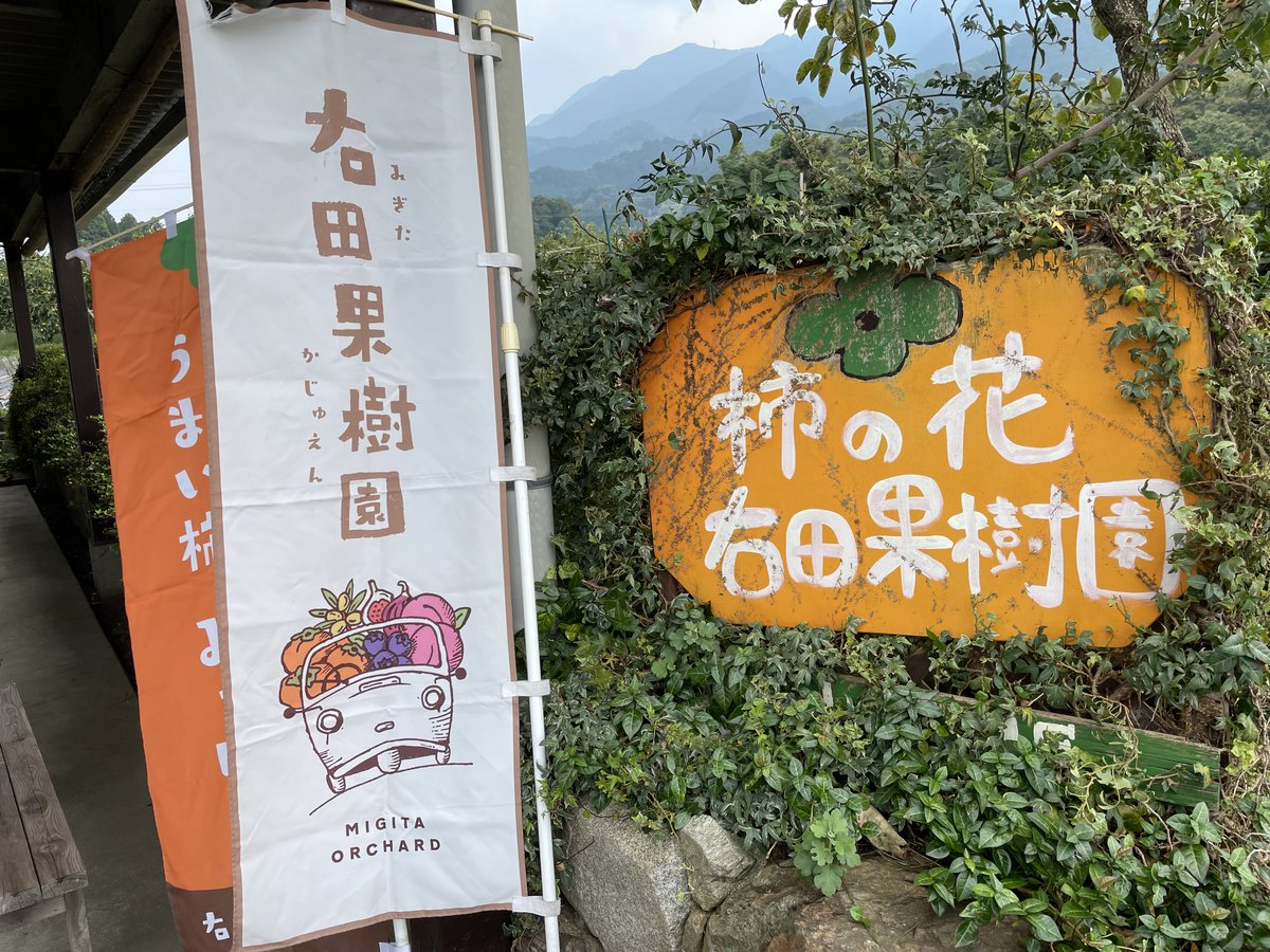 旬の味覚を狩る💕

葡萄や梨はよく聞くけど、柿狩りもありました😁
お店で売ってるものはオレンジだけどちょっと青くても置いてたら熟れて美味しくなる、日持ちがする事を教えてもらいました！ちなみに青くても中身はキレイなオレンジ色でめちゃくちゃ甘い💕楽しすぎて大量に収穫🌈
＃おは戦41015od🍩