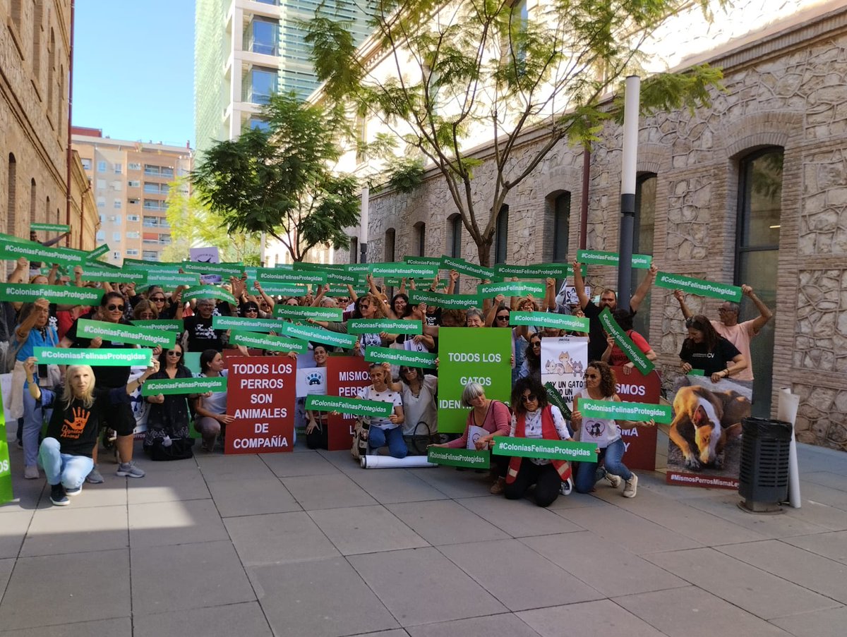 BeteraPodemos's tweet photo. Gran concentración esta mañana en la Consellería de Agricultura de Valencia (que tiene poco de cultura) a favor de considerar a todos los perros con los mismos derechos ante la ley. https://t.co/hplkgRno56