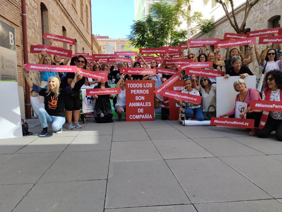 BeteraPodemos's tweet photo. Gran concentración esta mañana en la Consellería de Agricultura de Valencia (que tiene poco de cultura) a favor de considerar a todos los perros con los mismos derechos ante la ley. https://t.co/hplkgRno56