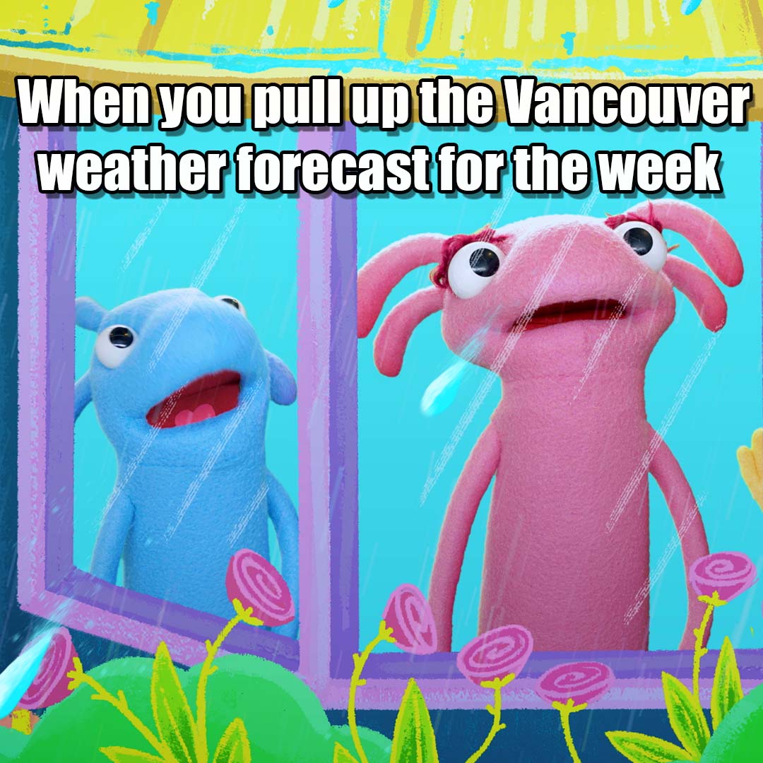 TheTreebees's tweet image. Sunny Fall weather is here in Vancouver but, everyone is dreading the day where all we see is rain in the forecast! Maybe playing,  Rain, rain go away, on repeat will keep the rainy weather at bay! #raincouver #treebees #vancouverkids #vancouvermom #vancouvermoms #vancouvermusic