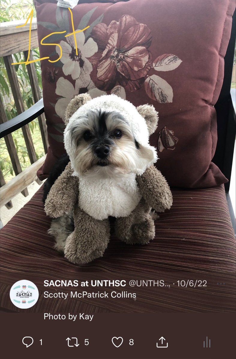 UNTHSC_SACNAS's tweet photo. Congratulations to the winners of our photo contest fundraiser! Thank you so much to everyone who participated! https://t.co/V1UfB2Qo3J