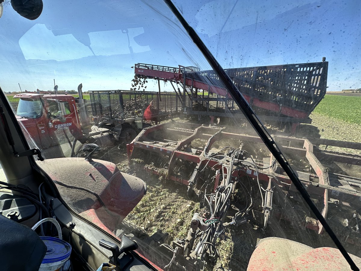 NEXTLevAG's tweet photo. Just Beet It π΄πΌ#nextlevelag #sugarbeets #harvest22 https://t.co/LiBTWjLSA0