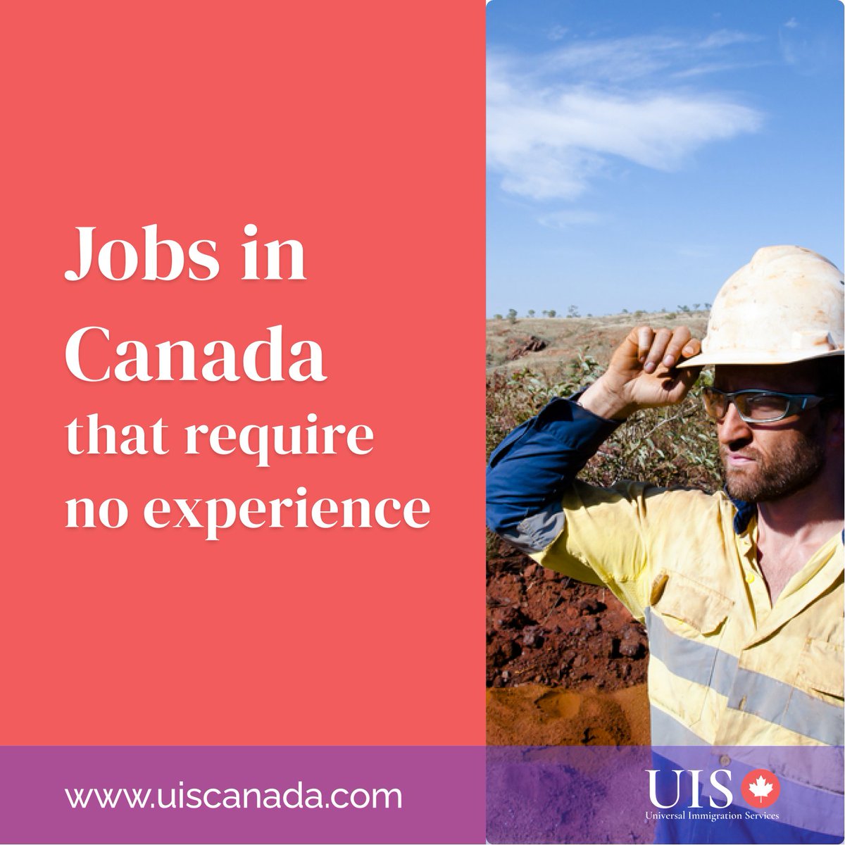 uis_canada's tweet photo. Can't find the experience you need for a job in Canada? Don't worry! 

Check out our blog post “Looking for a Job in Canada Without Experience? You Can Find Them” for more info > https://t.co/E0cCV1i3oN

#UISCanada #FindaJobinCanadaWithoutExperience #MovetoCanada #Canada https://t.co/6L4wsaCOWp