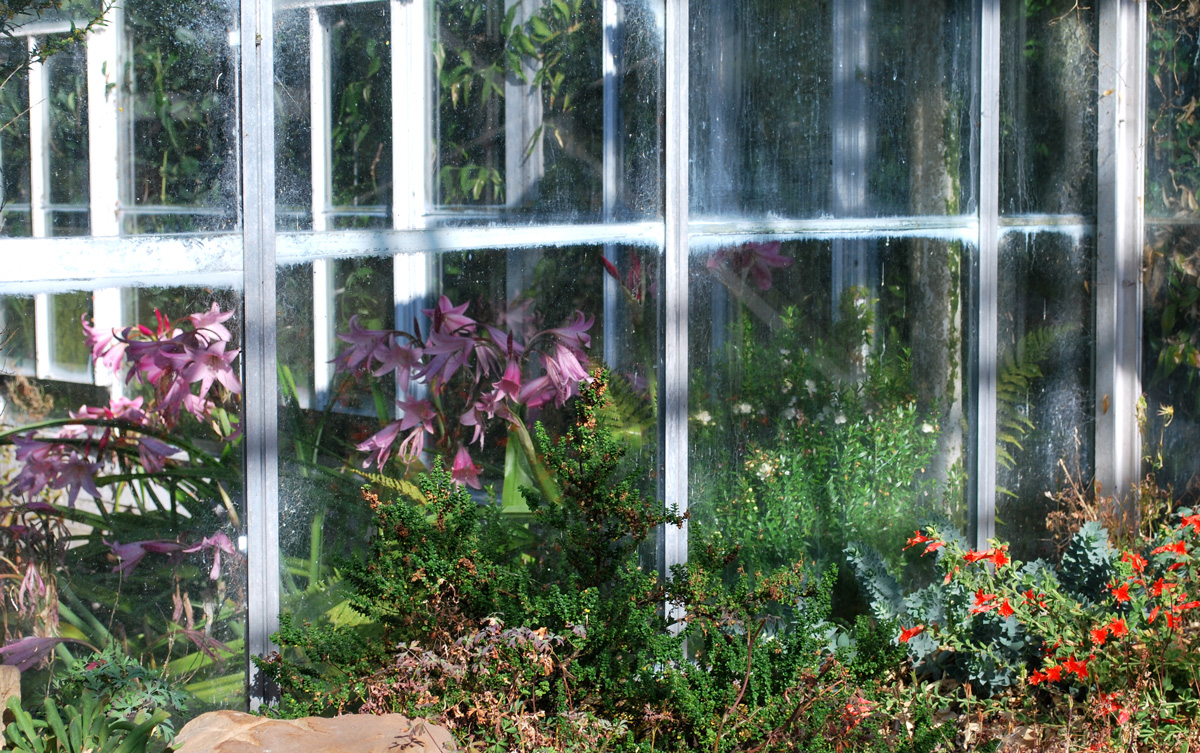 Exciting news! We are launching an Artist Residency based at <a href="/StABotanics/">St Andrews Botanic Garden</a>, from 9th January – 24th March 2023.  The chosen artist will experiment with film and time-based media and have the opportunity to screen work in the Bioscope pavilion. (1/3)