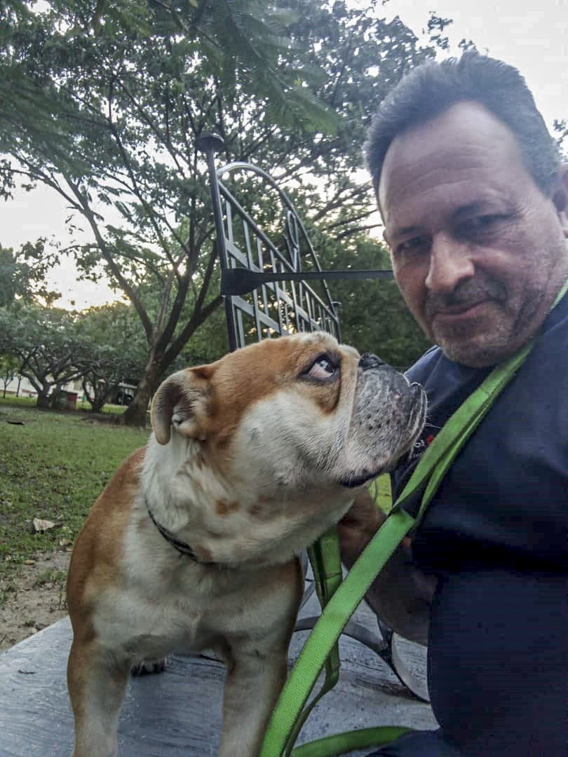 vodkcan's tweet photo. Bienvenido Paco, de la raza Bulldog Ingles, a su Adiestramiento Básico 🐶😉👍

#AdiestramientoCanino #EducaciónCanina #ObedienciaCanina #EscuelaCanina #PerroEducado  #AdiestramientoDomicilio #EntrenamientoADomicilio #EscuelaParaPerros #ValenciaVenezuela 🇻🇪 https://t.co/4B1AxxOlby