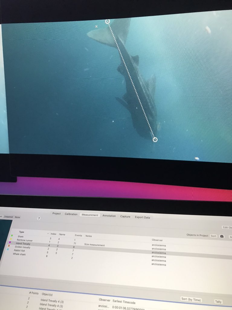 andr_fischr's tweet photo. Fish aggregation beneath a #FAD ππ¦ #vidsync https://t.co/5jNtnSnW4L
