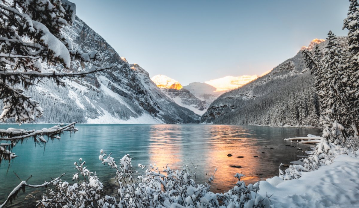 TELUS_Spark's tweet photo. Spark's award-winning virtual series, #DirectFrom, is back! This series, suited for grades 1-12, takes students in classrooms (or at home) on unique virtual adventures, and offers a way to virtually explore wildlife and it's natural ecosystems. https://t.co/4KxTf5avMN https://t.co/Up39NmjdjT