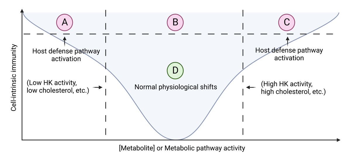 Synth_Immune's tweet image. What do #astronomy, #plants, and #mammals have in common? 

They inspired our #Goldilocks framework of allowable #metabolic shifts in the context of #guard theory and cell-intrinsic #immunity during #infection.

@fraschillair 

@harvardmed @ragoninstitute 
frontiersin.org/articles/10.33…