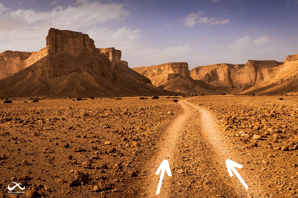 حاول ان تبحث عن الخطوط وموازنتها مع هدفك🎯 
لكي تقود عين المشاهد الى عمق صورتك🖼️

ولا تنسى ان الهدف الرئيسي من استخدام الخطوط القيادية هو جذب انتباه المشاهد للعنصر الرئيسي في الصورة، او يتم استخدام هذه القاعدة لجذب المشاهد إلى عمق الصورة. 📸 