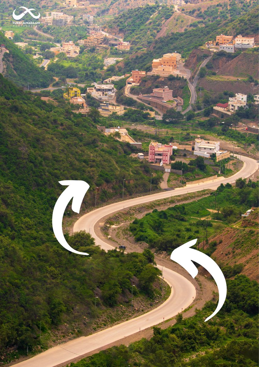 استخدمت الطريق كخط قيادي يؤدي على عمق الصورة 