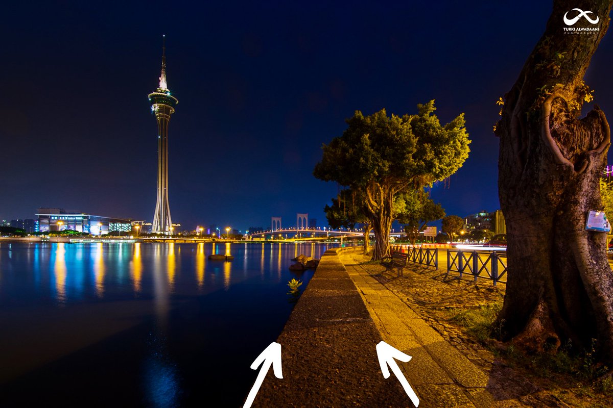 خط قيادي لمسارات المشي👇🏼📸 