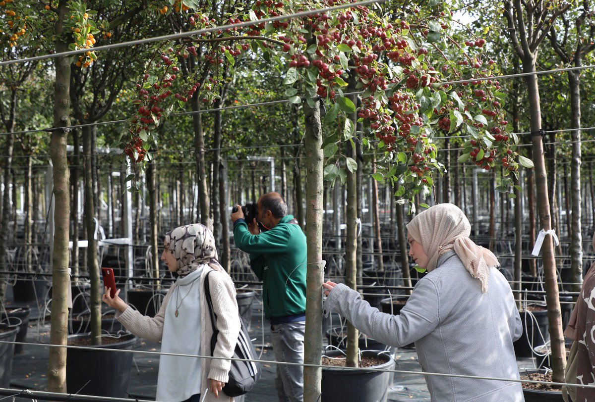 Bartın Üniversitesi Park ve Bahçe Bitkileri bölümü öğrencileri, Alibeyköy Fidanlığımıza teknik gezi düzenlediler. Fidanlığımızda incelemelerde bulunan öğrencileri, Bahçe Market Sorumlumuz Seyhan Mısır Kaya ile Avrupa Yakası Fidanlık ve Lojistik Şefimiz Ersoy Bayrak bilgilendirdi.