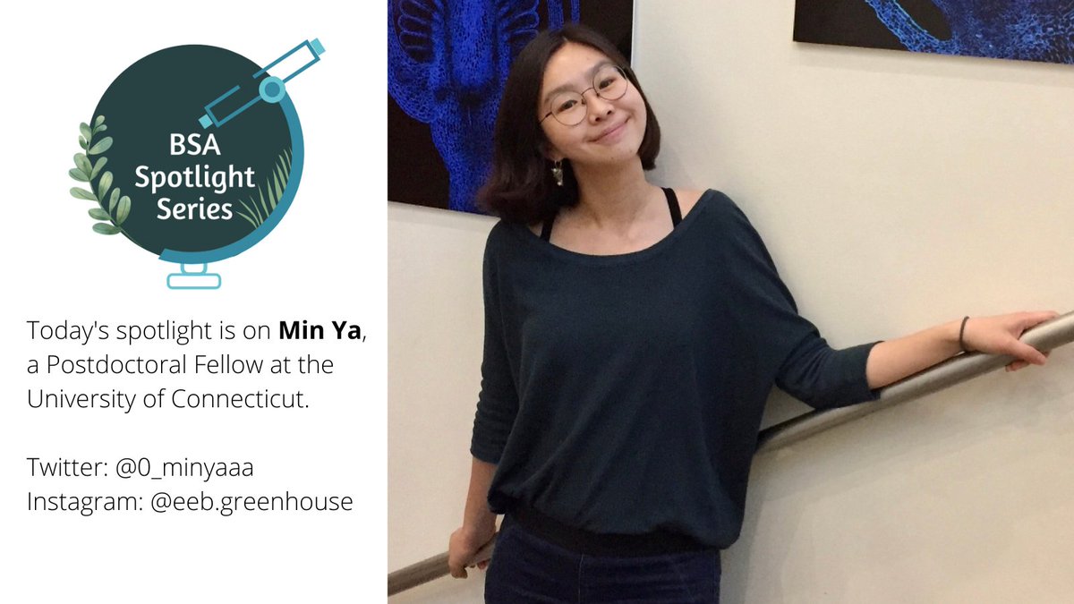 Botanical_'s tweet photo. Introducing our October Spotlight, Min Ya, a postdoctoral fellow at the University of Connecticut.
Learn more about Minya by visiting https://t.co/OfIIaXaCUQ
#BSASpotlight #BSAMember #BSAEarlyCareer https://t.co/wCuooG9B23