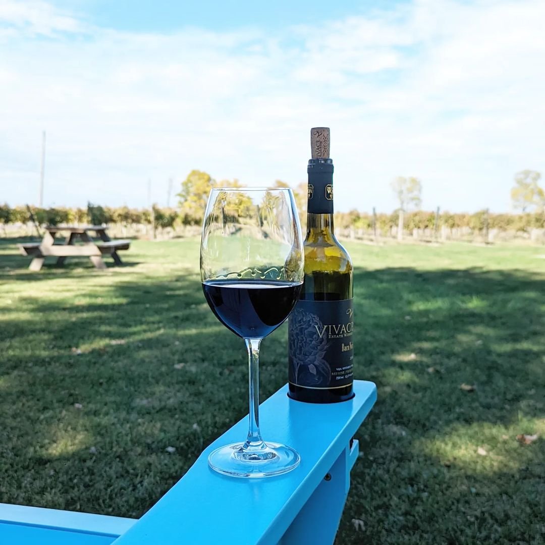 Am I crazy or is autumn the best time to visit our local wineries? The crisp air, the cozy flannel, the delicious wine 🤩🍷