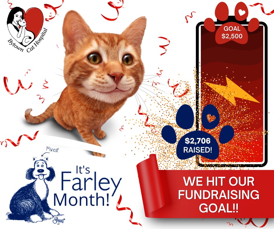 TheCatHospitals's tweet photo. #FarleyMonth Update: Thanks to your support #BytownCatHospital exceeded our fundraising goal. We raised $2,706 for .@Farleyfndation! We're increasing our goal to $3,000. Will you help us help #cats? Donate via @canadahelps>> https://t.co/x4l7Ob0jII #CatsofTwitter #OVMA https://t.co/4Hb1eXPyby