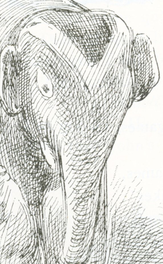 poetry_digital's tweet photo. ⚡️Coming soon! DVPP custom anthology builder.

Sample below for elephant poem enthusiasts (URL removed because it currently links to the top-secret development site).

(Illustration from https://t.co/8rz7fBn0Qt)
#VictorianStudies #poetrytwitter https://t.co/ufkPBHHLEp