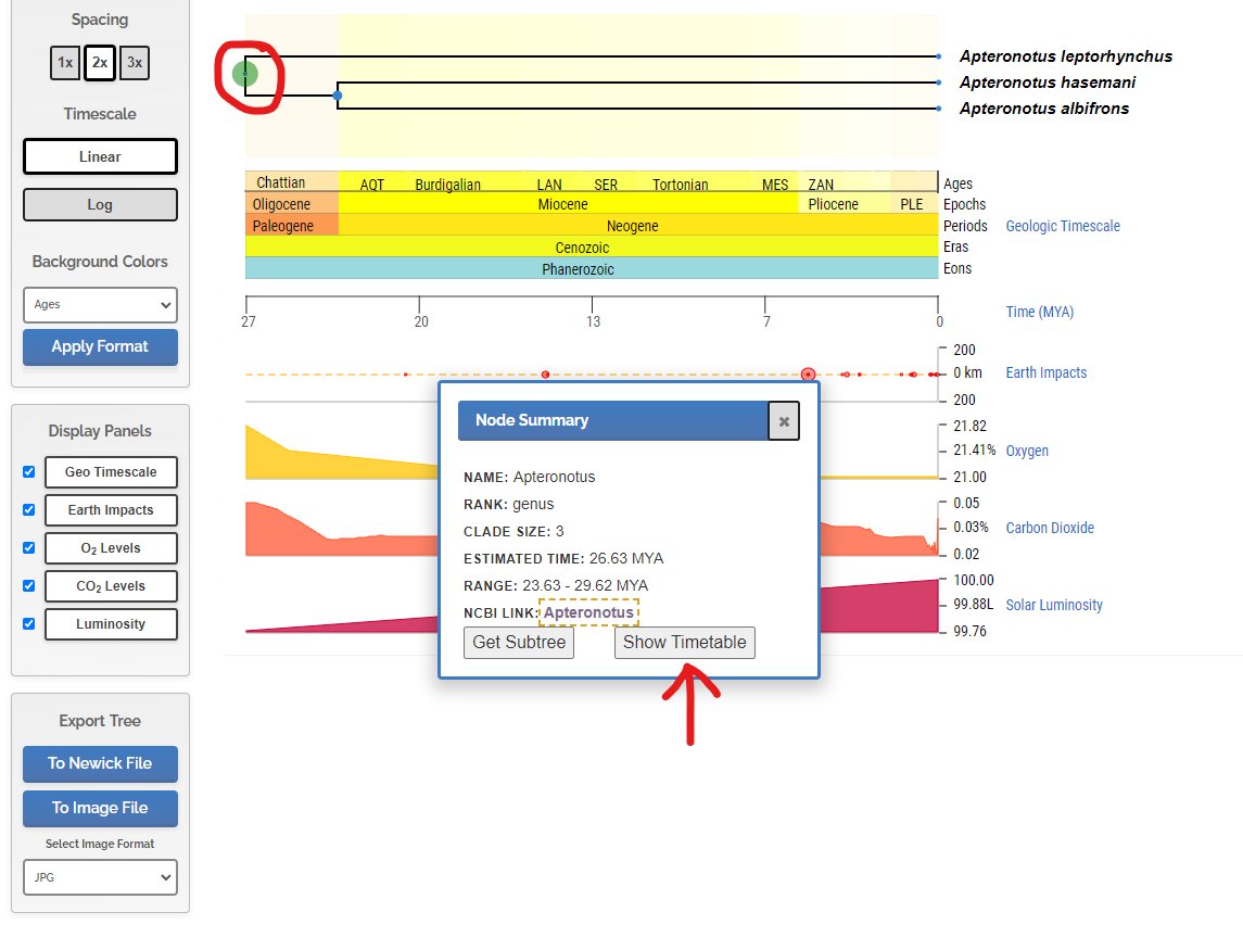 TimeTreeofLife tweet media