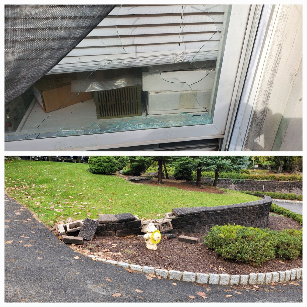 robert lehman tweet media