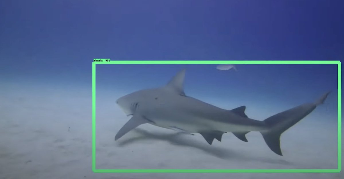 EVNautilus's tweet photo. For 2 weeks the @InsideNatGeo #shark team conducted research on #sharks around #Maui and #Hawaii using low-impact and non-invasive #researchtechniques aboard #EVNautilus inc. #reef surveys, baited remote underwater system deployments, and #environmentalDNA analysis. (1/2) https://t.co/Ub7iNJJuiE