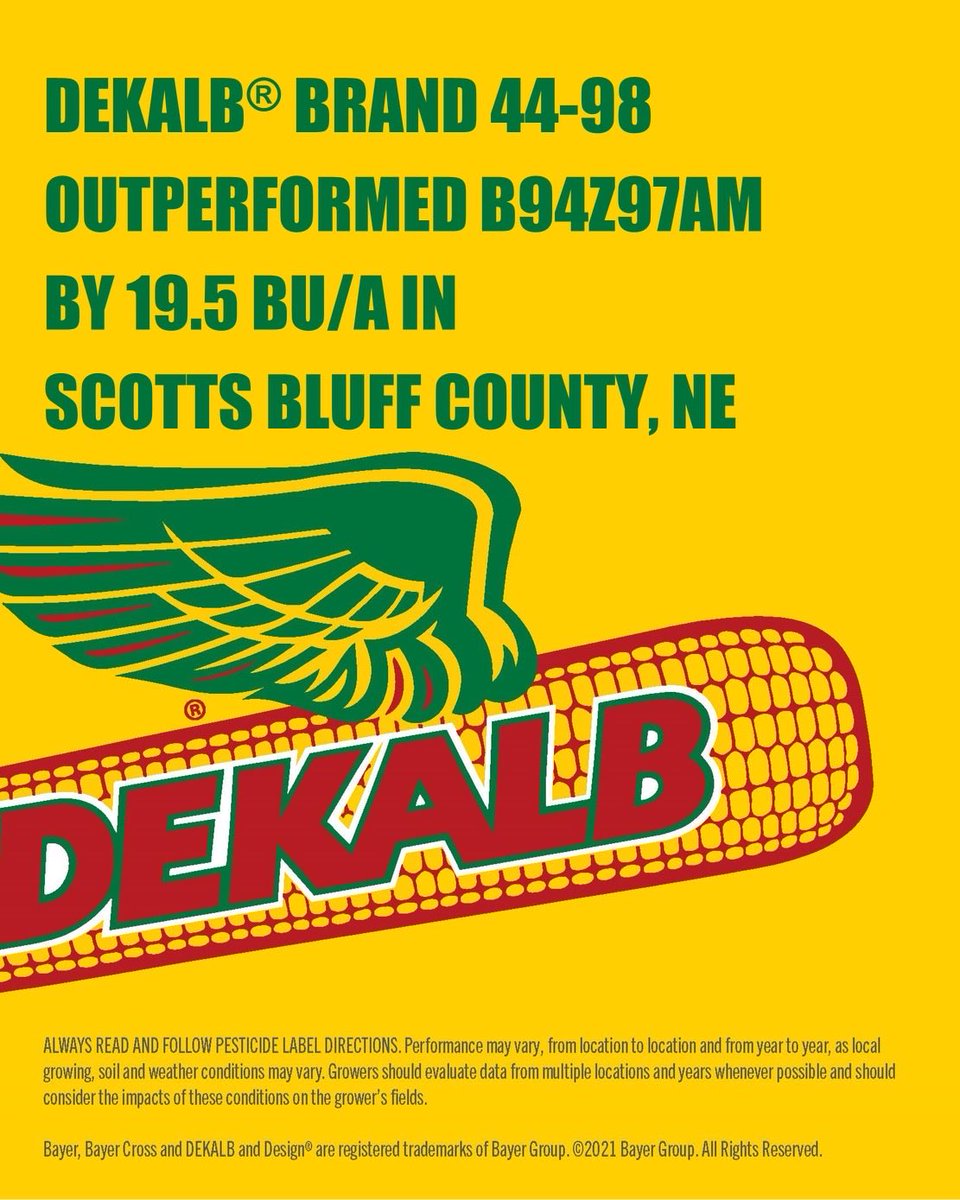 DanMarostica's tweet photo. 2nd year hybrid DKC44-98 is flexing its muscle!! 280.6 bu in this plot!! It has looked good all year, and now the combine is showing it!! ⁦@DKAS_HP⁩ #Bayer4NE #WinningHasRoots https://t.co/KVPx1Ifd6M
