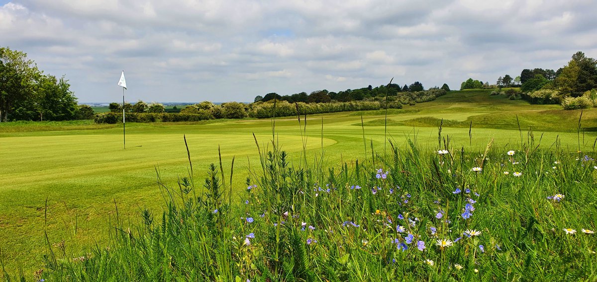 Gog Magog Estates Team tweet media