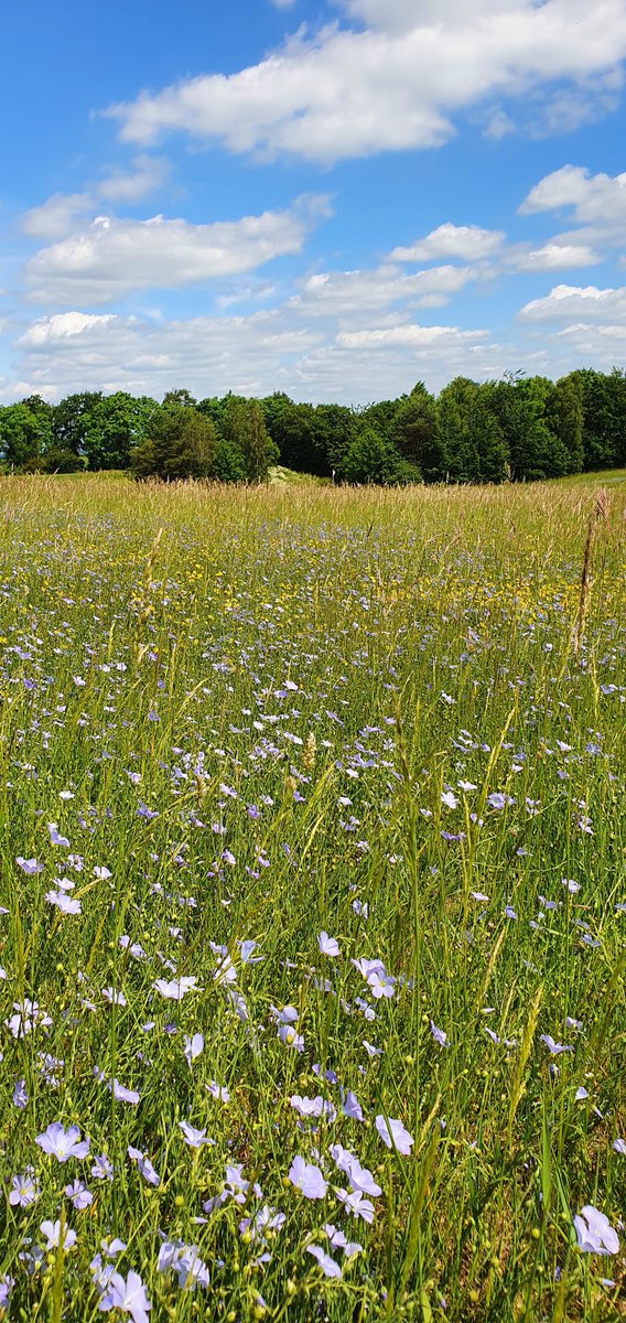 Gog Magog Estates Team tweet media