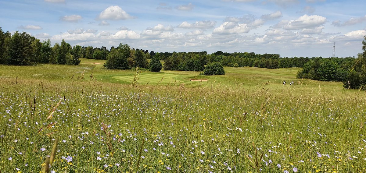 Gog Magog Estates Team tweet media