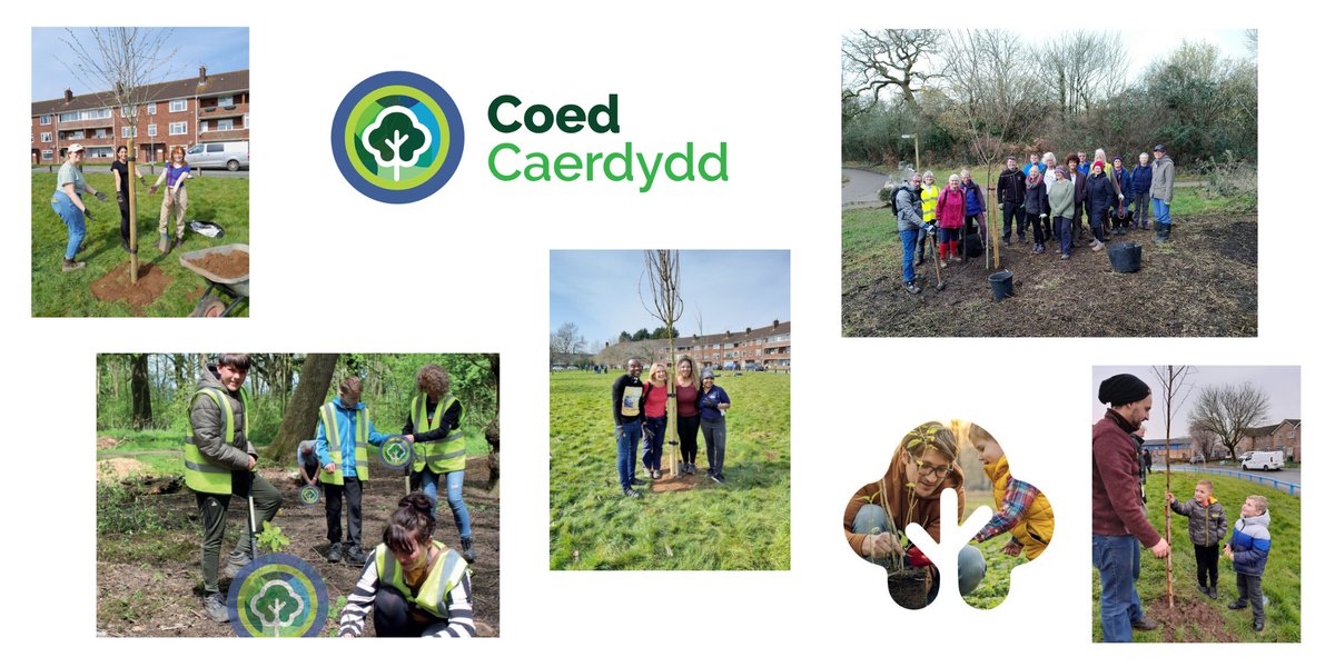 CoedCaerdydd's tweet photo. 🌲🌳 Super excited to launch our community tree planting programme for autumn 22 - spring 23! Please share widely and we hope you can join us for some tree planting across Cardiff! 🌲🌳
https://t.co/6t09ima9HE 

(Further events to be added so please check for updates) https://t.co/ovcpPvHrrf