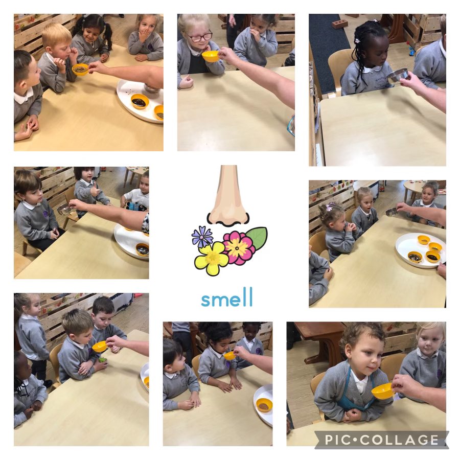 Mrs Colrein 3 year old room tweet media