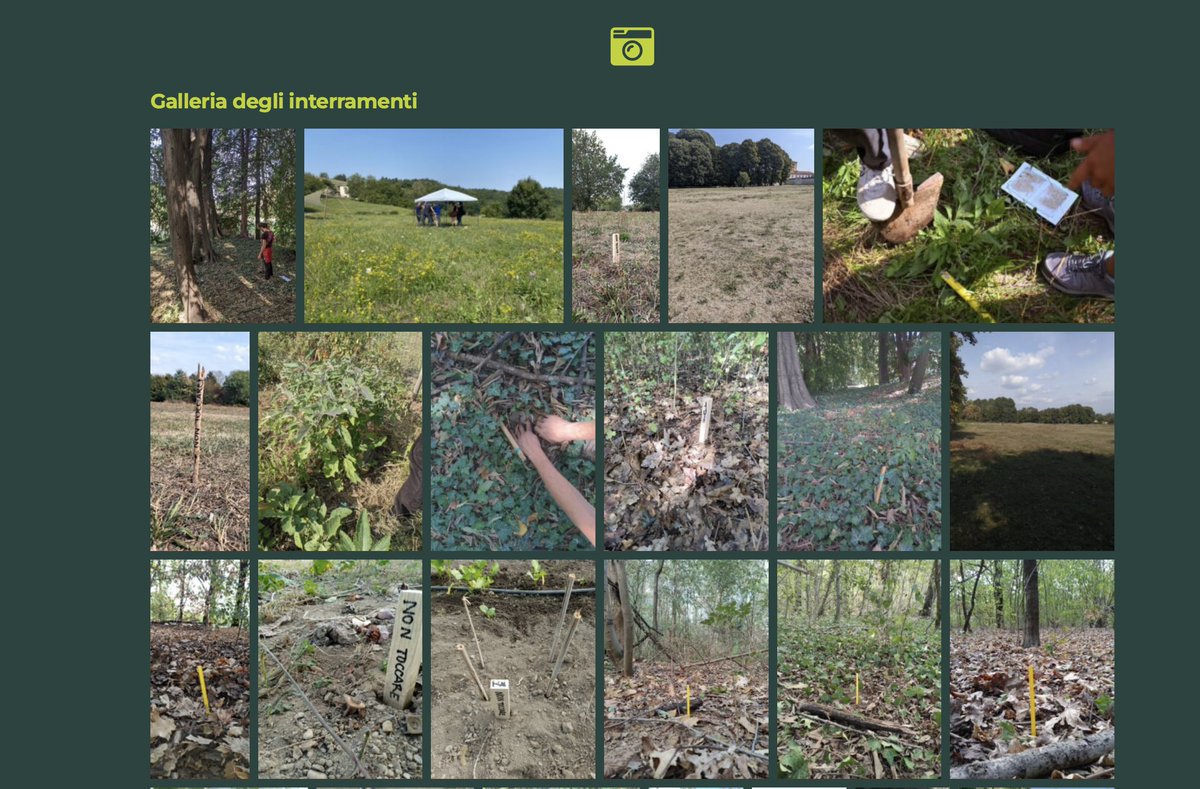 ProgettoBridges's tweet image. #InTerra - Prosegue l'attività di monitoraggio su e attorno alle litterbag sul #suolo urbano e peri-urbano di Milano. Potete trovare alcune belle immagini degli interramenti avvenuta finora sfogliando la speciale galleria sul sito:   
👉progetto-bridges.it/piattaforma/ma… 
#progettobridges