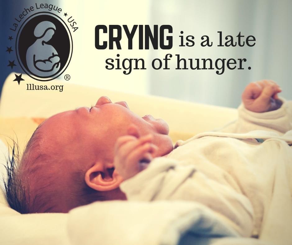 LaLecheLeagueUS's tweet photo. Babies signal hunger many ways prior to crying.
Early cues can include:
-Smacking lips
-Opening & closing mouth
-Sucking on hands
Active cues can include:
-Rooting
-Fidgeting
-Fussing/breathing fast
Late hunger cues can include:
-Moving head frantically side to side
-Crying https://t.co/6L6Qrgseq4