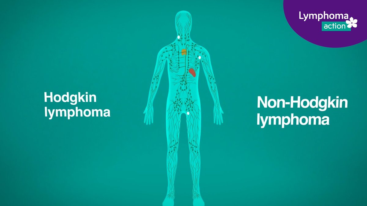 Our new animation explains what #lymphoma is, how it develops &amp; treatment options. Lymphoma is a complex condition and we often hear people had never heard of it before diagnosis - we hope this short film helps people understand 💜 lymphoma-action.org.uk/new-animation-… 
#HealthLiteracyMonth