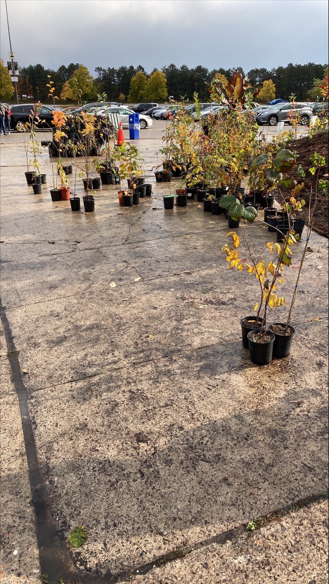 We are proud to be planting an urban mini-forest at @TheTorontoZoo to celebrate the launch of Network of Nature, an incredible collaborative led by @CanGeo and Dougan & Associates with support from @TDFEF🌲🌳🌲 Follow our stories on our Instagram⤵️ buff.ly/3gd5Vmk