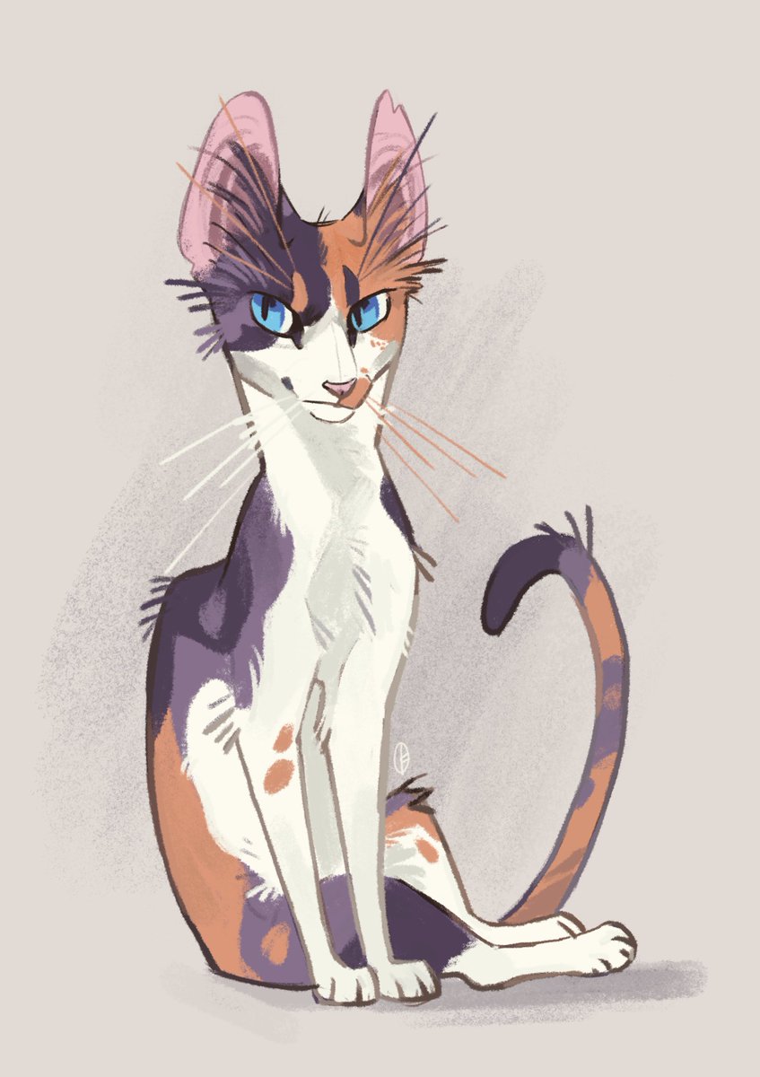 「Been doing some commissions for patrons,」|Finchのイラスト