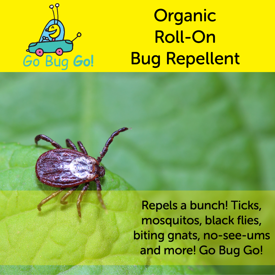 GoBugGo1 tweet picture