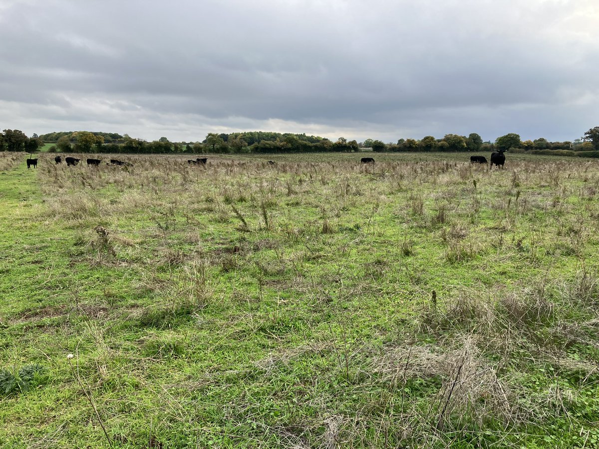 TonyJuniper's tweet photo. To the Wendling Beck Nature Recovery Project, with @NENorfolkSufflk team &amp; partners working here in mid-Norfolk. Stacking of ecosystem services at landscape scale to create value &amp; business opportunities for farmers. Food, Nature, resilience, economic development, all right there https://t.co/lui9dLF4Bw