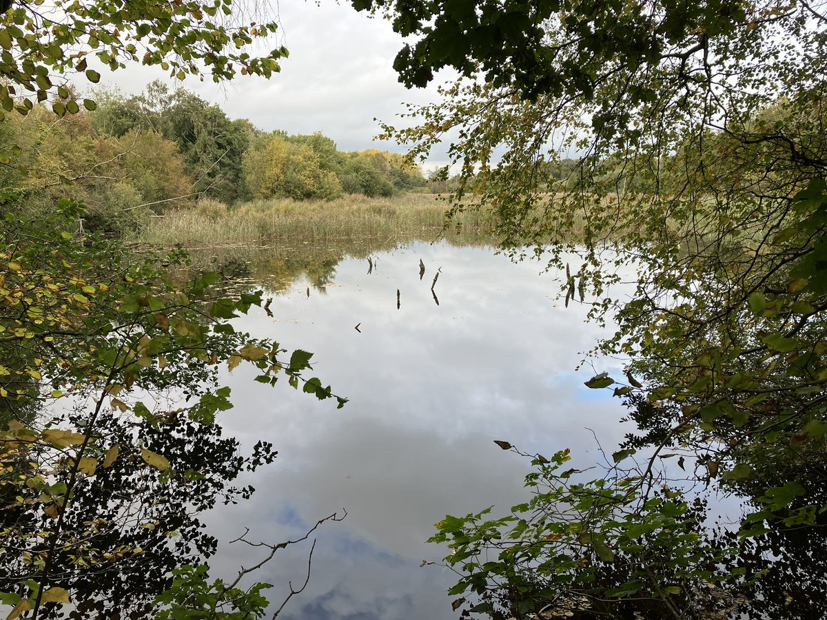 TonyJuniper's tweet photo. To the Wendling Beck Nature Recovery Project, with @NENorfolkSufflk team &amp; partners working here in mid-Norfolk. Stacking of ecosystem services at landscape scale to create value &amp; business opportunities for farmers. Food, Nature, resilience, economic development, all right there https://t.co/lui9dLF4Bw