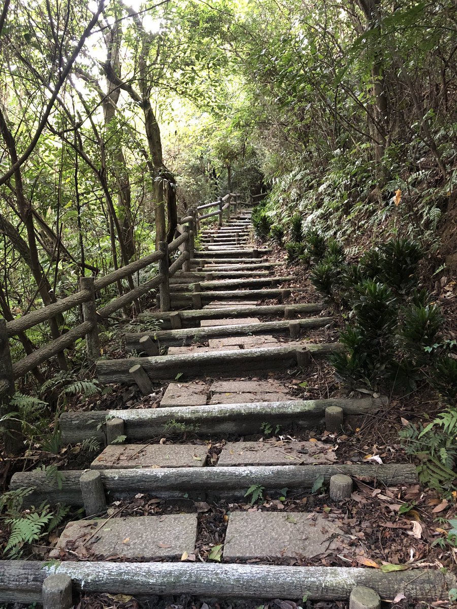 chuen2's tweet photo. 南勢角山 新北 台灣
#台灣爬山 #台灣登山　#台灣ハイキング #階段 https://t.co/yQjGpLCnE2