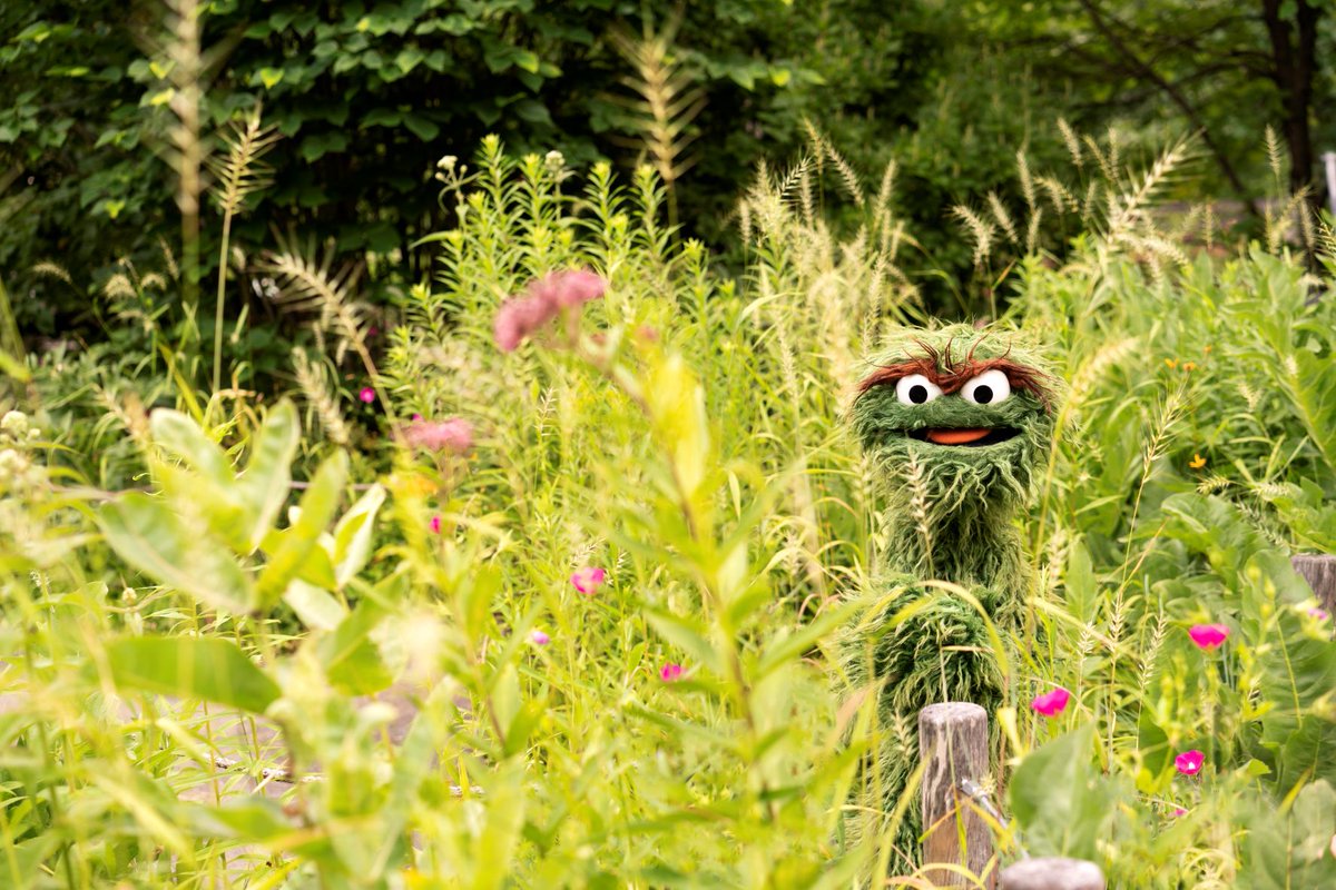 You can't hide from us, @OscartheGrouch! We're celebrating National #GrouchDay, just for you! Have a rotten day! 💚