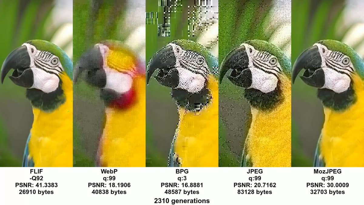 explorecurate's tweet photo. Digitala insikter Därför har bilder betydelse för din SEO och så här optimerar du dem https://t.co/itXphaVNnr https://t.co/HjKD6YVjFJ