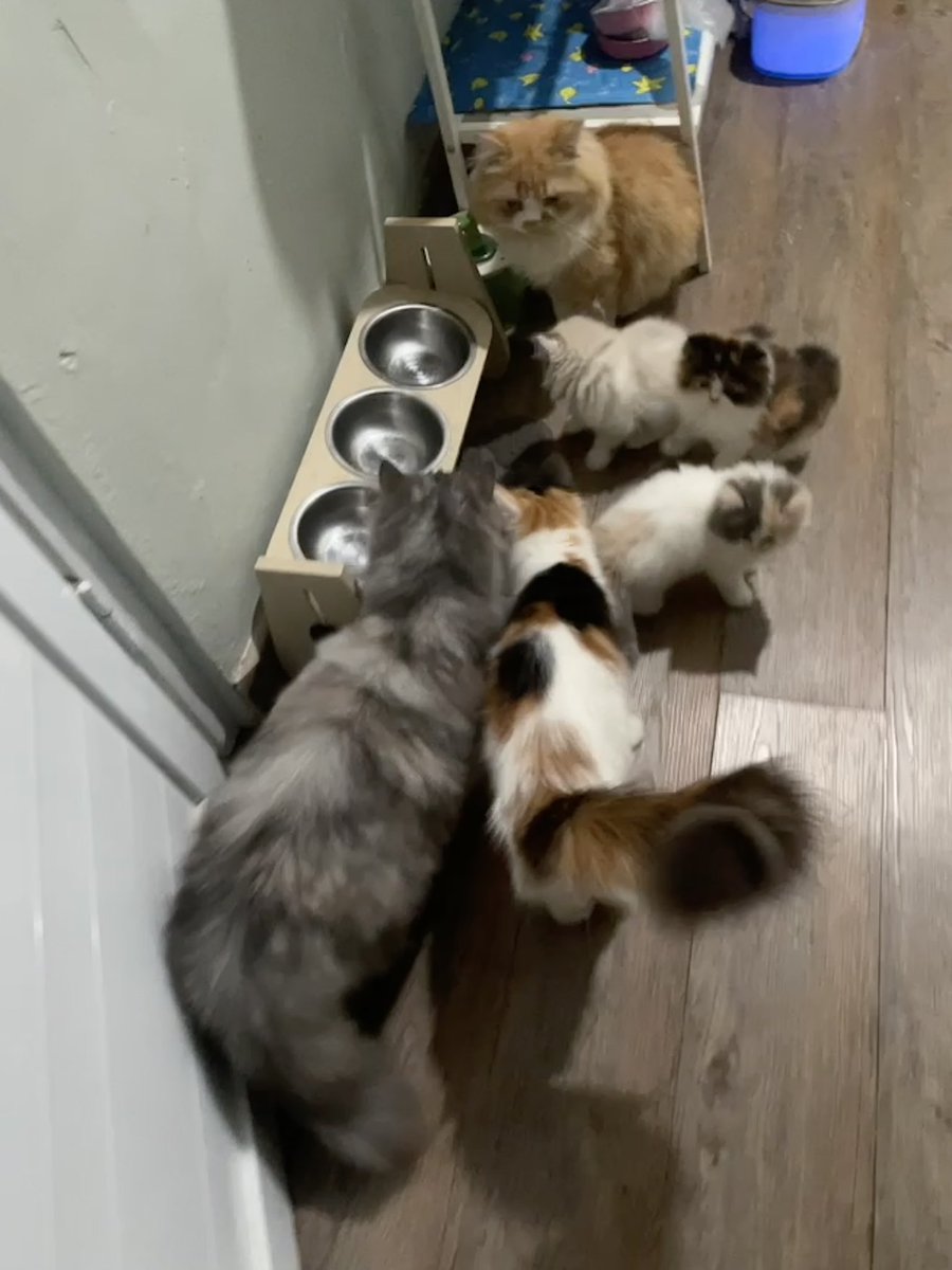 Full house🫠🫠🫠🫠🫠🫠