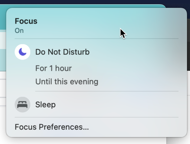 One little word does so much work here. Icons are indecipherable to me. I need the word "On" to understand that the Focus feature is active.