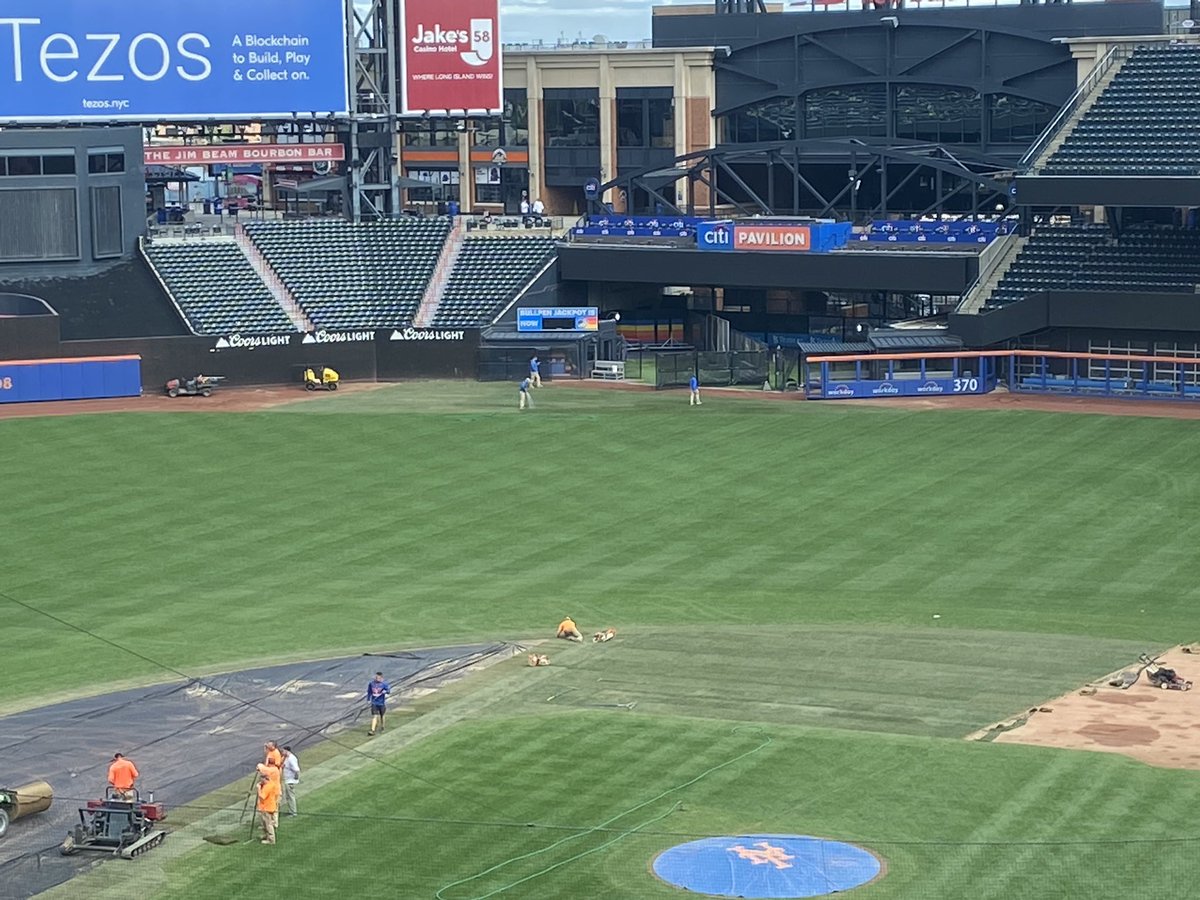 Tim Healey tweet media